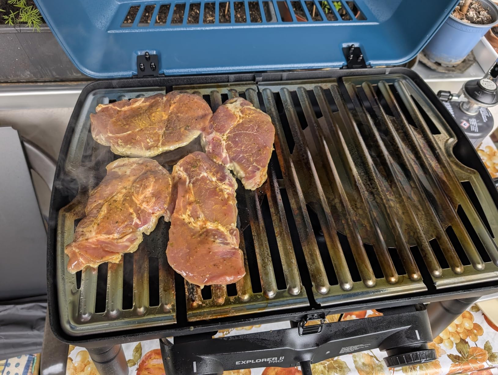 Ordentlich, mit kleinen Schwächen