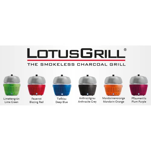 lotusgrill-grillhaube-edelstahl-classic-dk-sg-34-mit-thermometer-und-sichtglas image 7