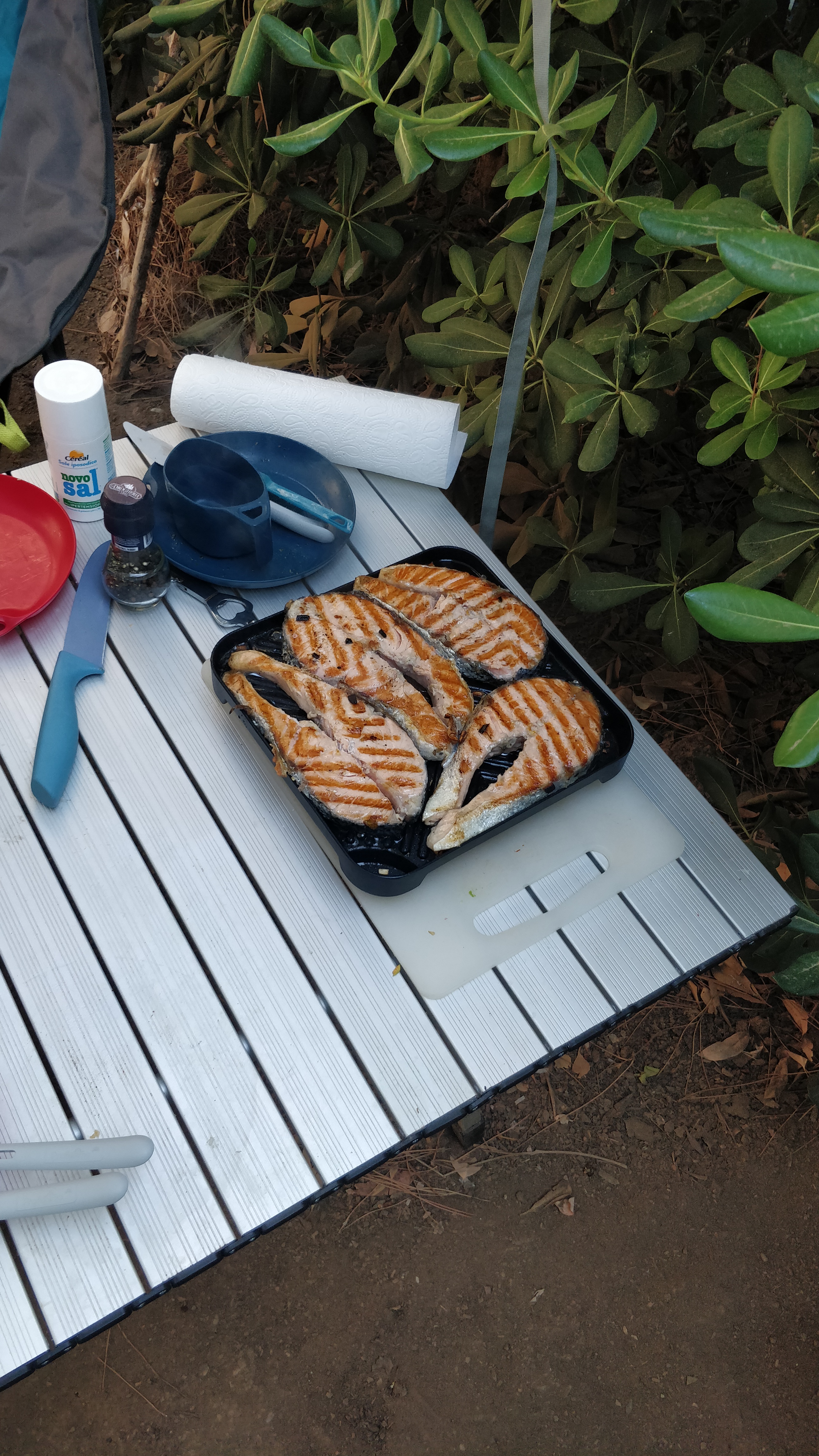 Endlich vernünftig grillen unterwegs