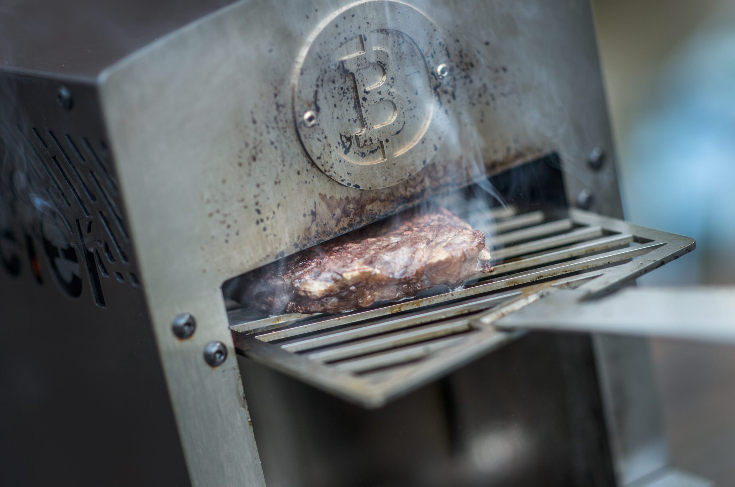 beefer-grillrost-16-x-26-5-cm-original-rost-f-r-alle-beefer image 3